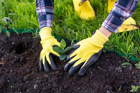 best gloves for planting.